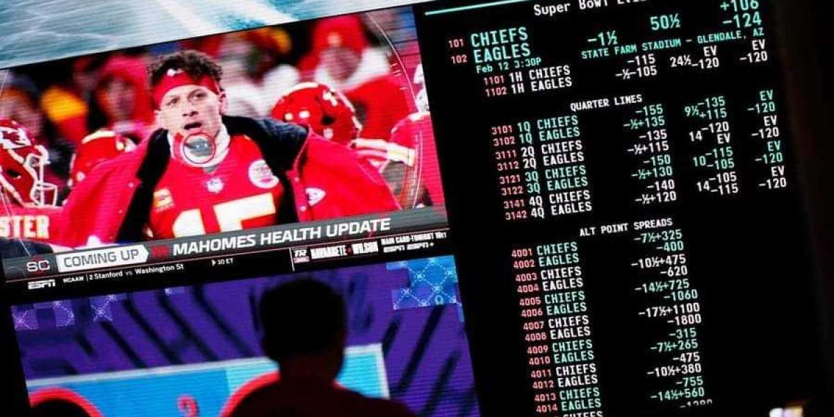 Rolling the Dice: The High-Stakes World of Sports Gambling