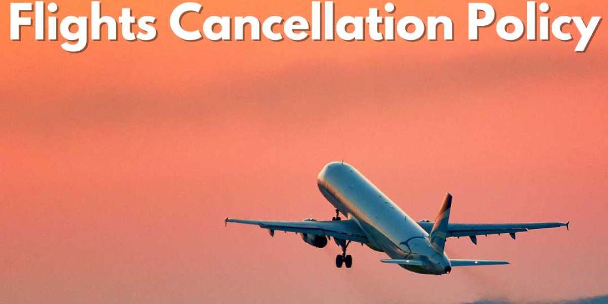TUI's Cancellation Flights Policy: Everything You Need to Know | +1(877)513-3047