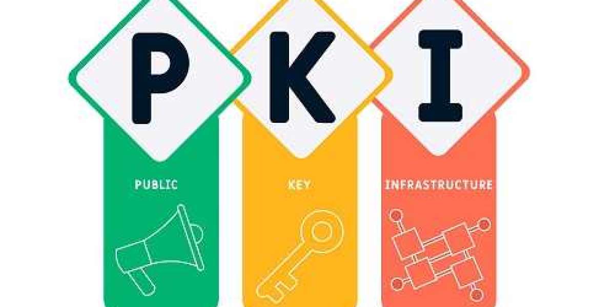 Public Key Infrastructure (PKI) Market Size, Share 2024-2032
