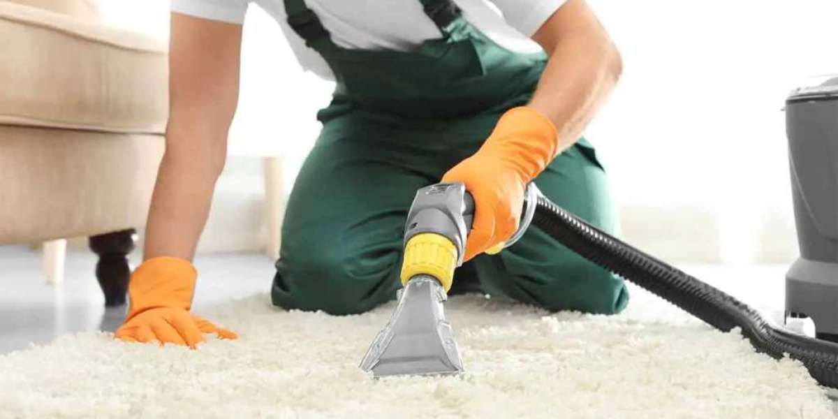 Achieve a Stunning Home Interior with Regular Carpet Cleaning