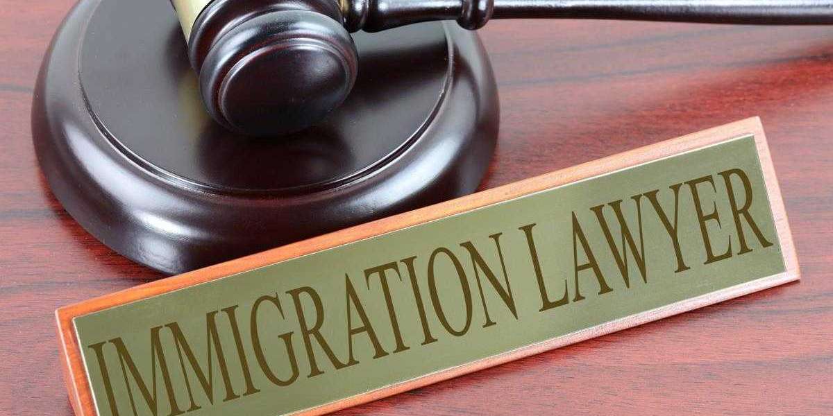 Your Path to Success: Finding the Best Immigration Solicitor in Ireland