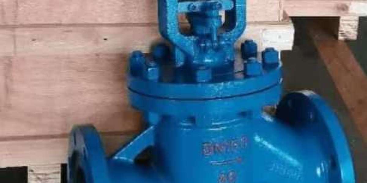 Bellow Seal Globe Valve Manufacturer in USA