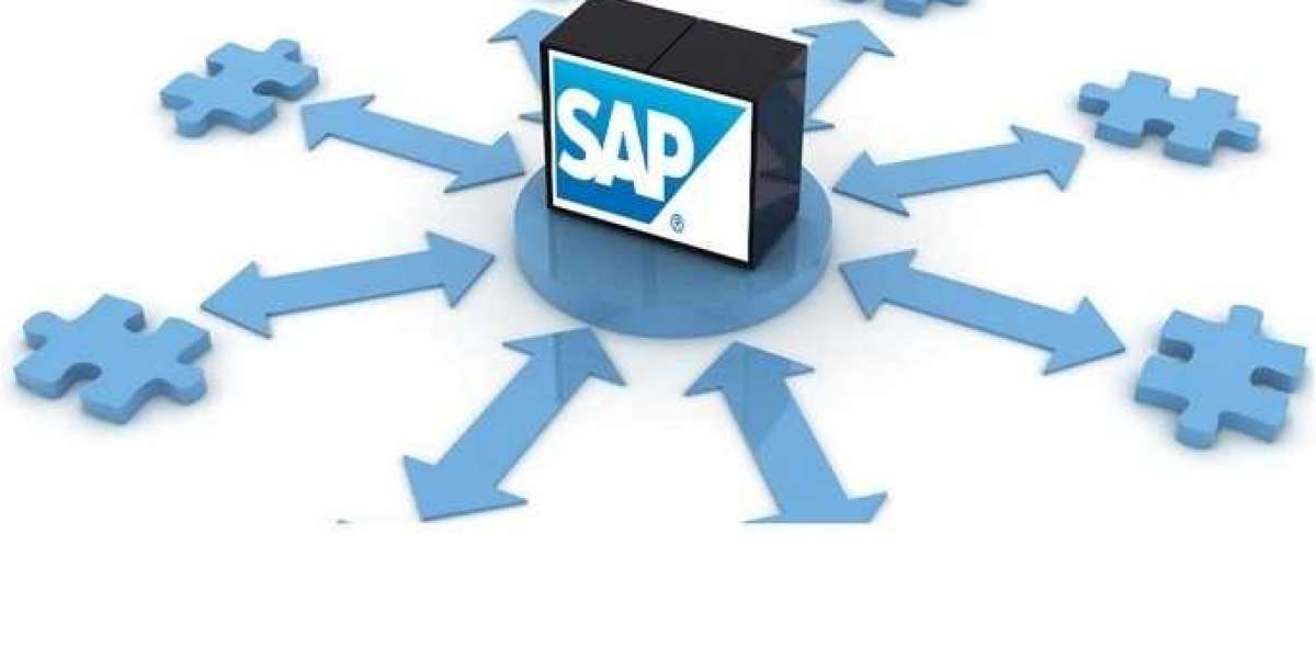 SAP Support and Maintenance Services