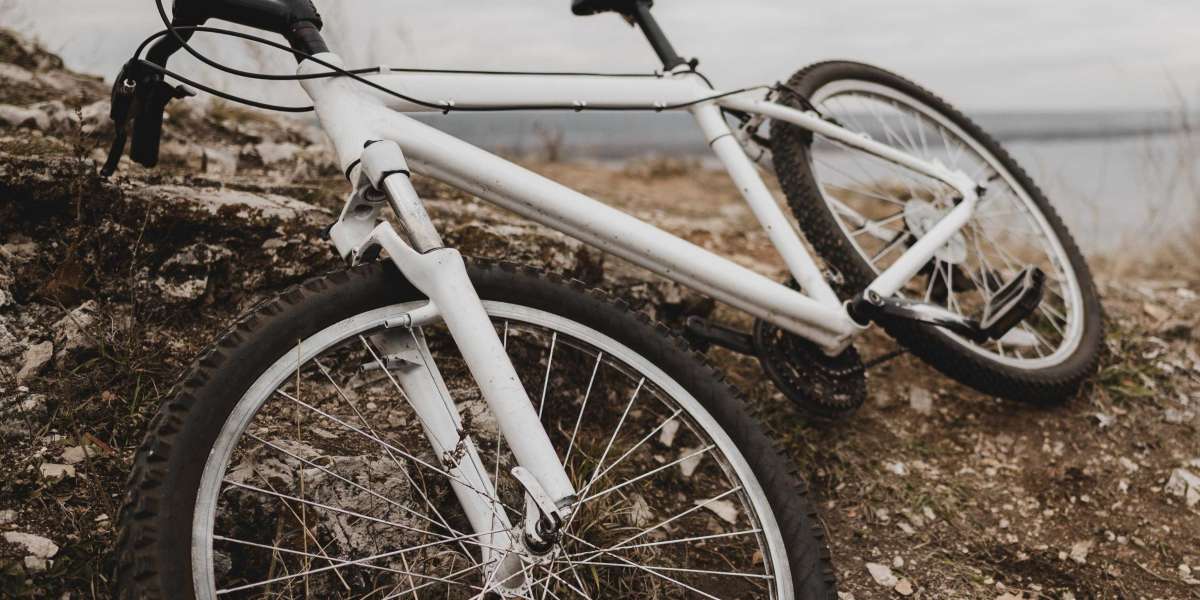 Mountain Bike Shoes