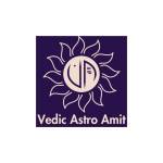 Vedic Astro Amit