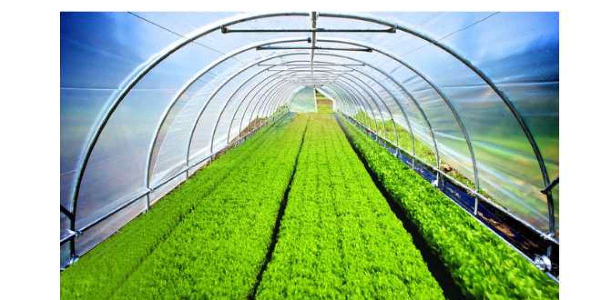 Greenhouse Film: Enhancing Crop Growth and Extending Growing Seasons